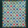 Autumn Splendor Pattern
