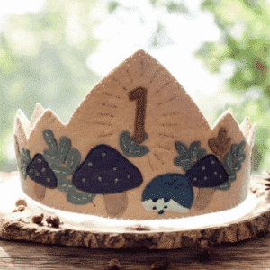 Hedgehog Birthday Crown Kit